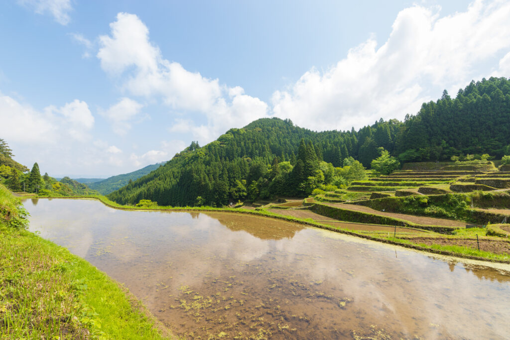 自然 田んぼ 水 山